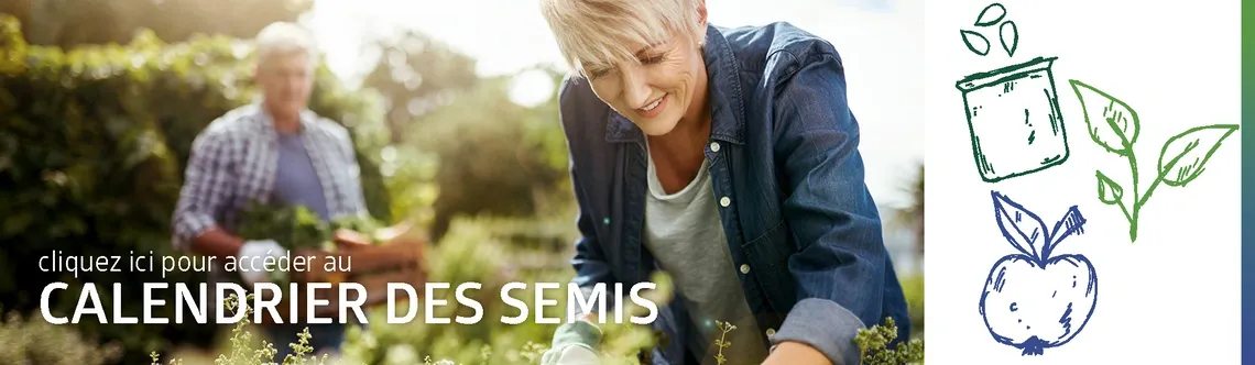 Calendrier des semis