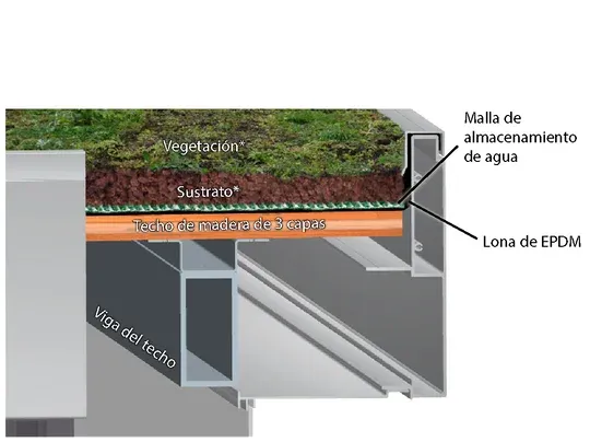 Reverdecimiento de la estructura del tejado de CasaNova