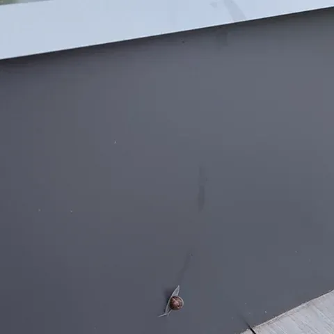 HochBeet Kundenfoto