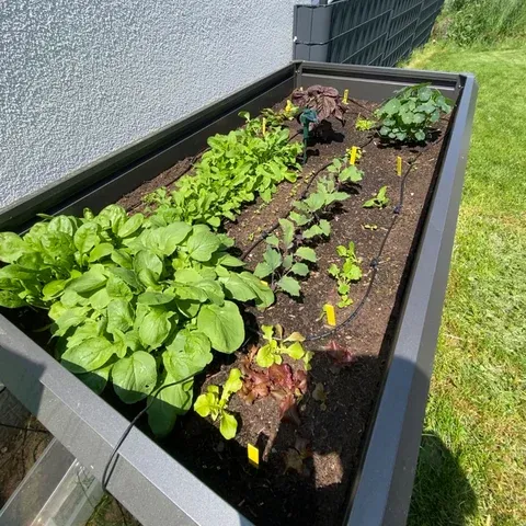 HochBeet Kundenfoto