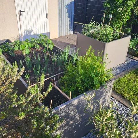 Mehrere Pflanzbeete von Biohort bepflanzt, Aufnahme vom Sommer.