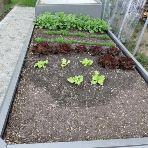 HochBeet Kundenfoto