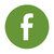 Icon Facebook grün